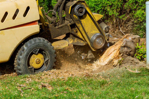 Best Artificial Turf Installation  in Quincy, CA