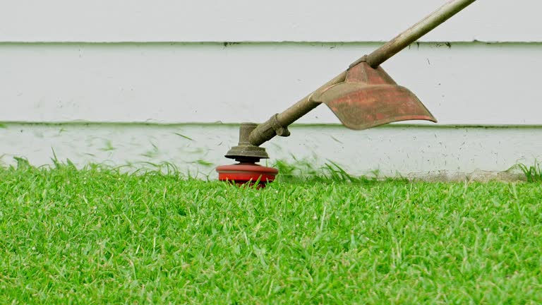 Best Pest Control for Lawns  in Quincy, CA